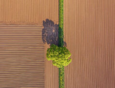 GPS agriculture