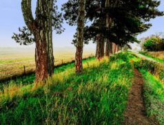 Greenways