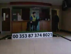 Greyhound Thurles