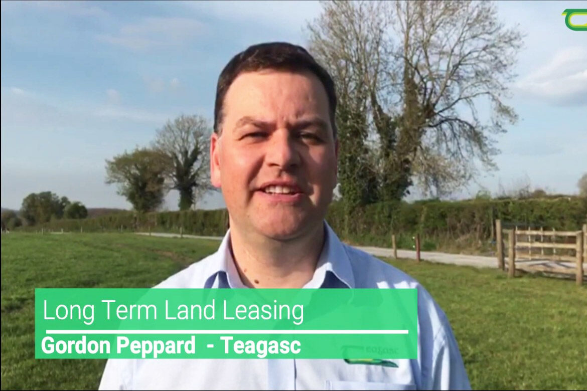 Long-term land leasing