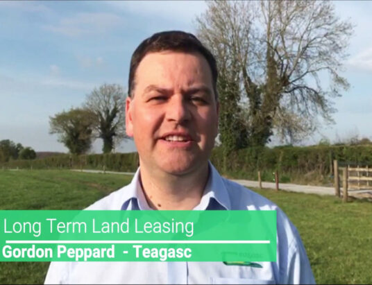 Long-term land leasing