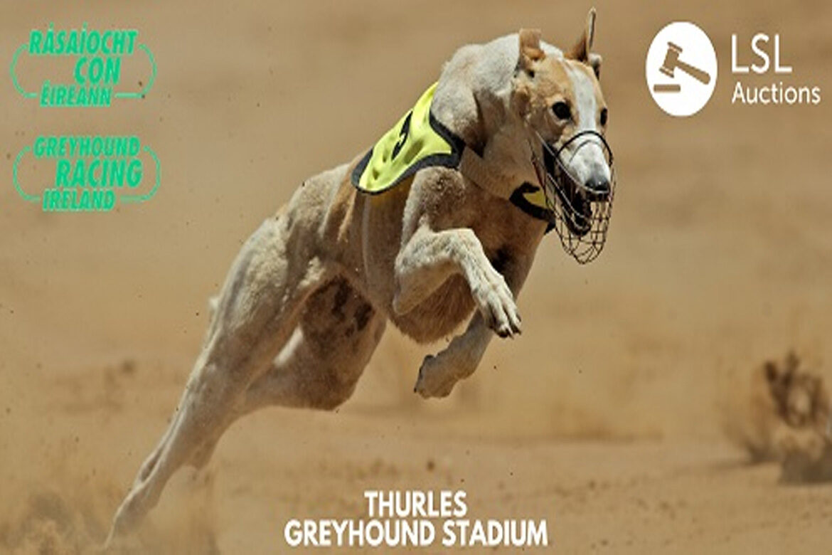 Thurles Greyhound Stadium