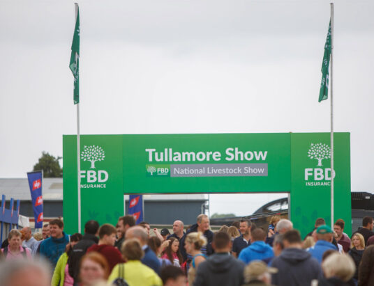 Tullamore Show 2022