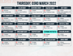 Online Auctions – Thursday’s Calendar 03/03/2022