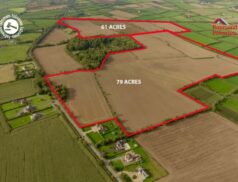 Raymond Potterton sold the property at Carstown, Termonfeckin, Co. Louth this afternoon for €1,775,000.00 via LSL Auctions