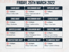 Online Auctions – Friday’s Calendar 25/03/2022