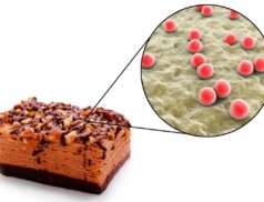 Microbiological Challenges for Artisan/Small Food Producers: How to Make Safer Food