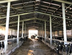 Farm Shed
