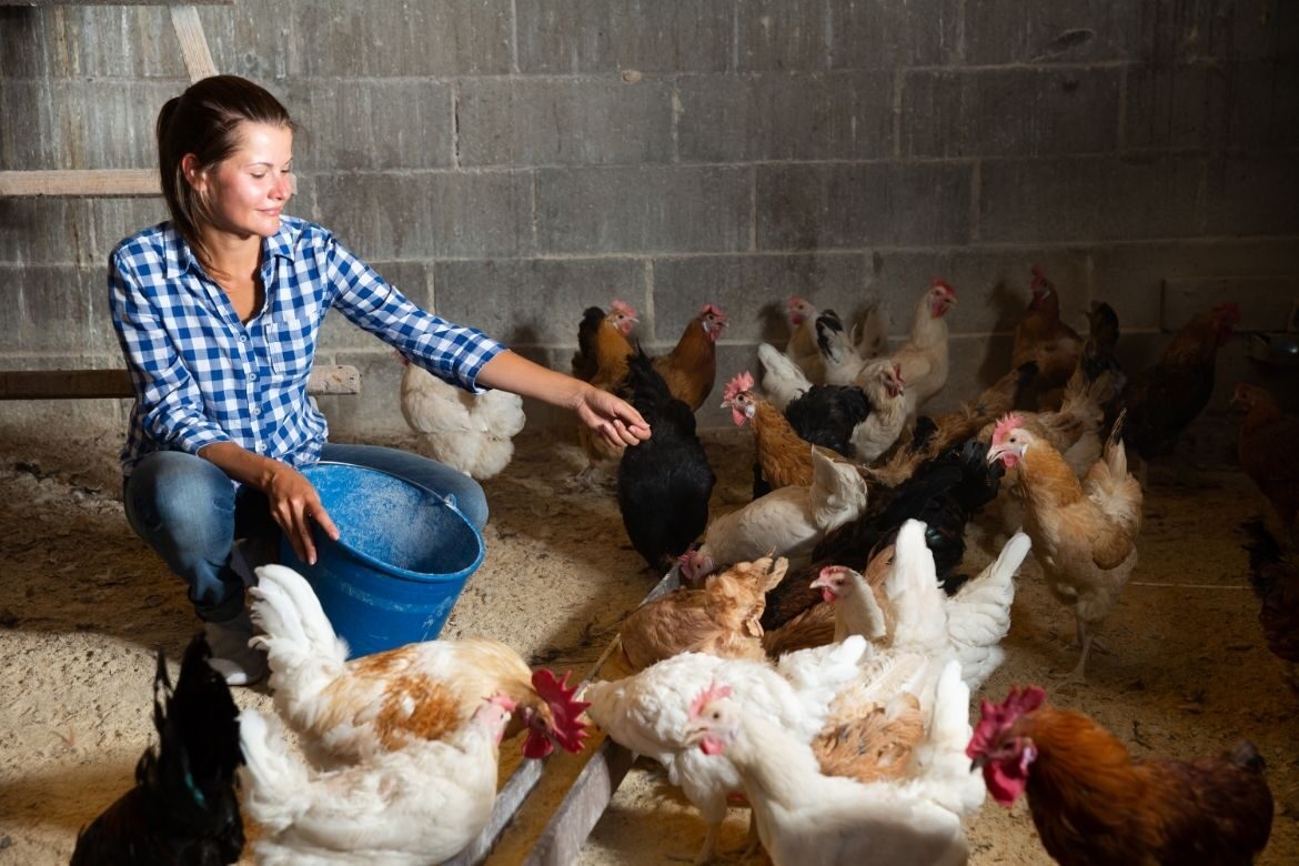 Women farmers challenges