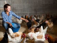 Women farmers challenges