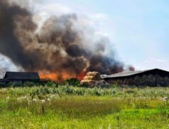 fire in the countryside