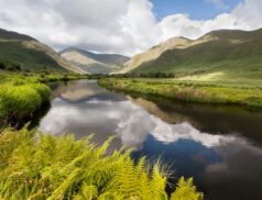 river basin management plan