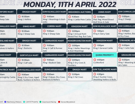 Online Auctions – Monday’s Calendar 11/04/2022