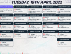Online Auctions – Tuesday’s Calendar 19/04/2022