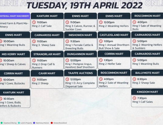 Online Auctions – Tuesday’s Calendar 19/04/2022