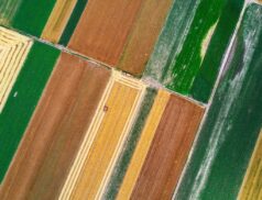 INFORMBIO bioeconomy