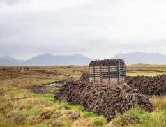 Turf ban exempts gifting