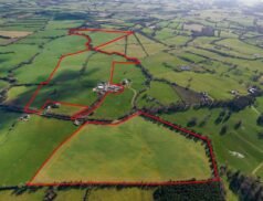 Quillsen - Milltown Farm Kilskyre Kells, Co Meath
