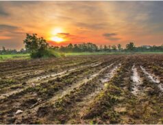 Tillage and Biodiversity Photo Competition