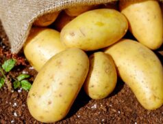 World Potato Congress