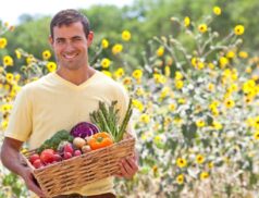 organic farming