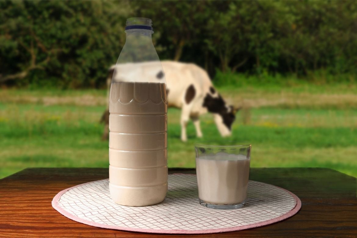 raw milk aroma