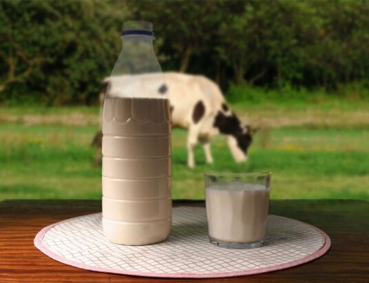 raw milk aroma