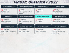 Online Auctions – Friday’s Calendar 06/05/2022