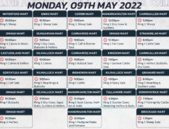 Online Auctions – Monday’s Calendar 09/05/2022