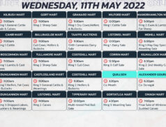 Online Auctions – Wednesday’s Calendar 11/05/2022