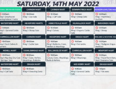 Online Auctions – Saturday’s Calendar 14/05/2022