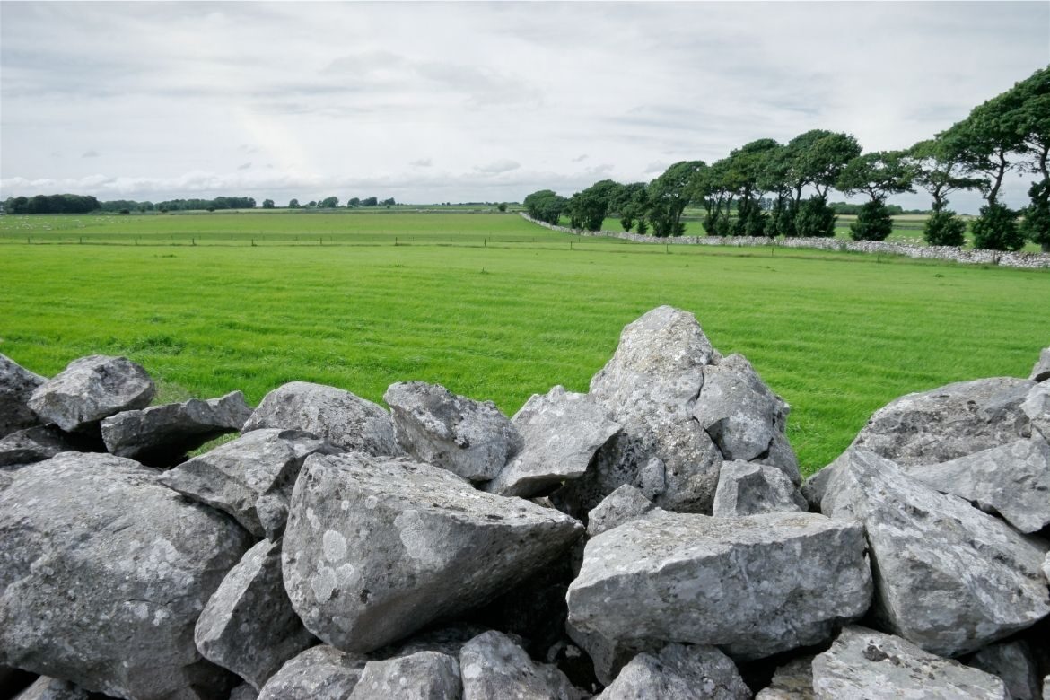 Price Of Agricultural Land Set To Increase LSL Auctions News