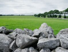 Agricultural land