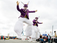Balmoral Show