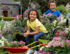 Bord Bia Bloom Phoenix Park Dublin