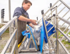 Cotter Agritech Cotter Crate