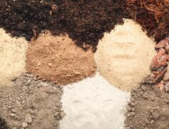 EJP SOIL International Call