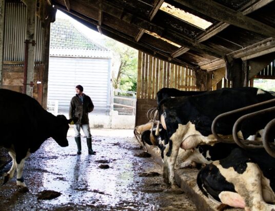 Fine Gael farming