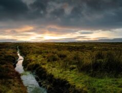 LIFE IP Wild Atlantic Nature project