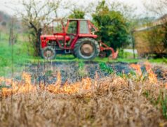 prescribed burning