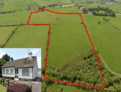 Raymond Potterton Drumbarragh Kells Meath