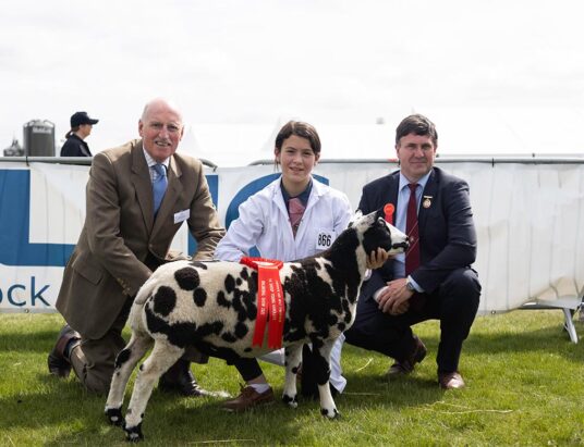 LMC board member Joe Stewart with Shannon Smyth sheep young handler champion in the 8-11 age group. Also pictured is judge, Michael Graham.