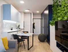 Small Dublin apartments