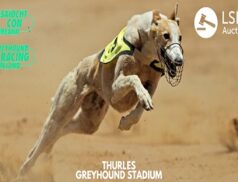 Thurles Greyhound Stadium