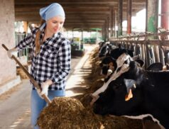 women working on farms