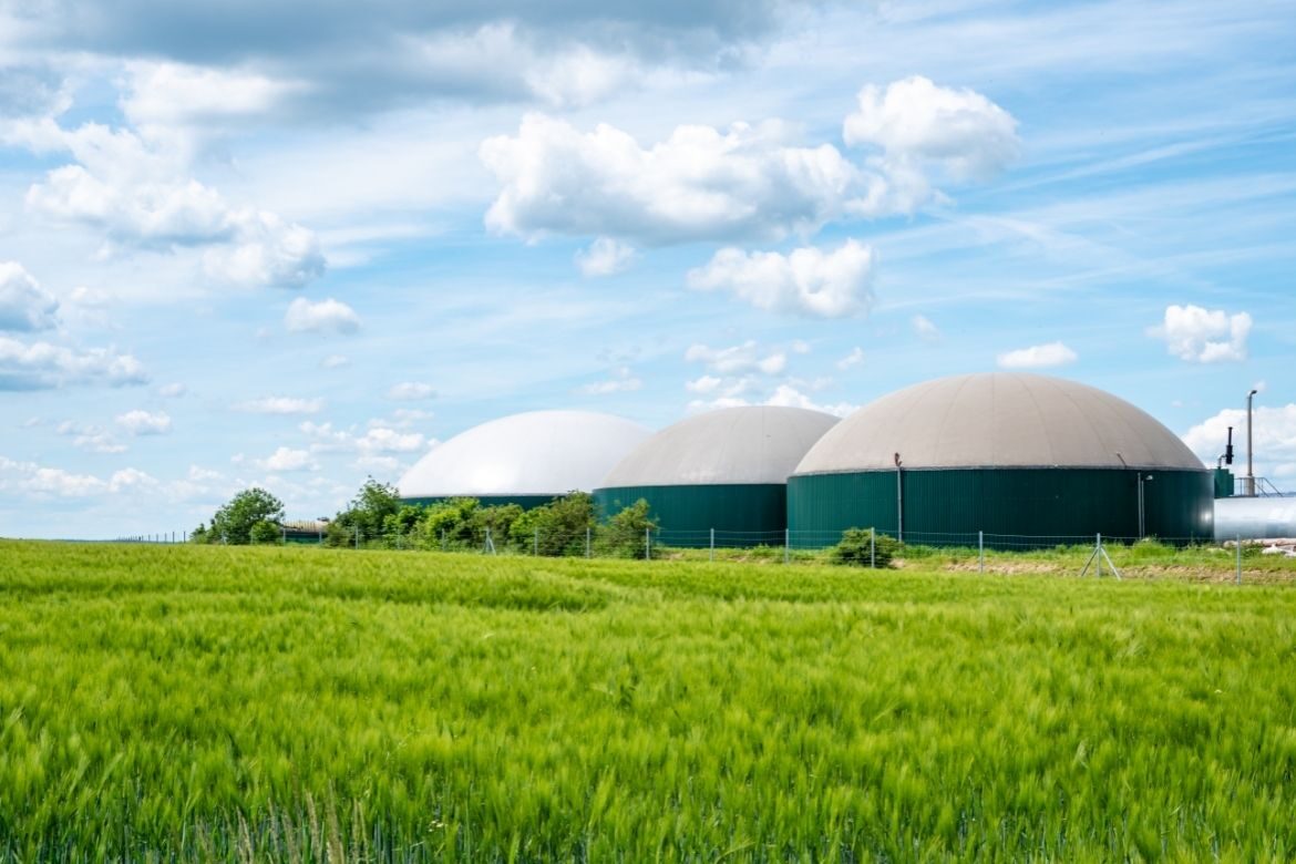 biogas industry