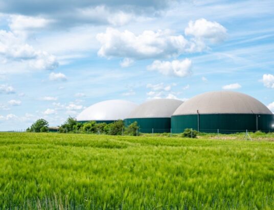 biogas industry