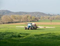 fertiliser prices