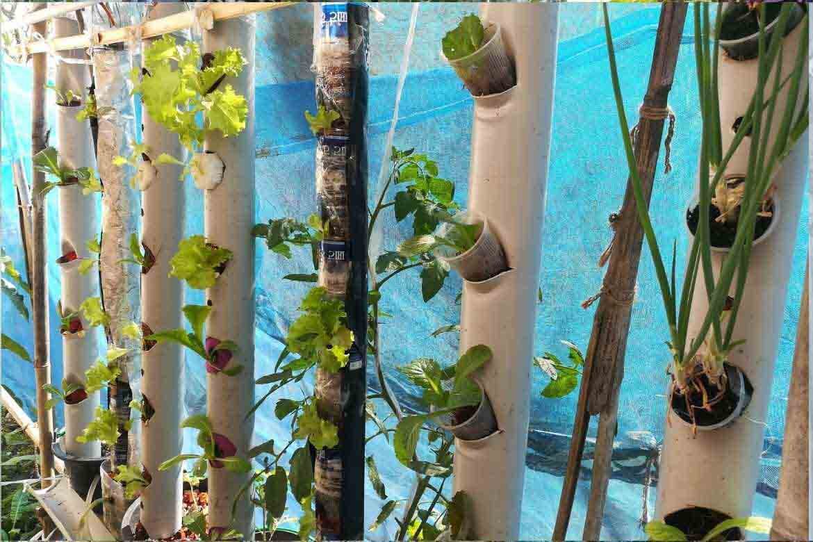 Vertical farming company among finalists for National Enterprise Awards