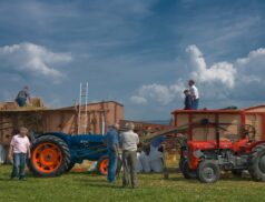 nitrates derogation
